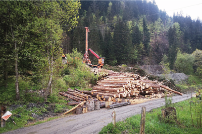 20260309 MEHR Grüsch Graubünden Schweiz4