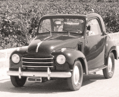 Topolino