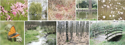 Impressionen Naherholungsgebiet Bless Twirren